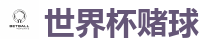 世界杯赌球 - 2026世界杯官方指定下注平台